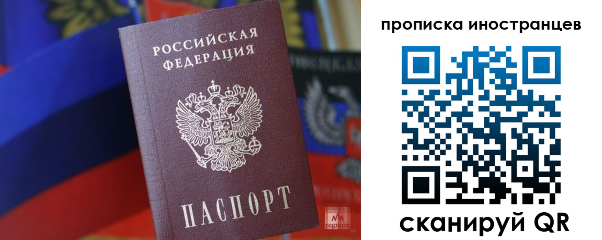 прописка законно в Калининграде